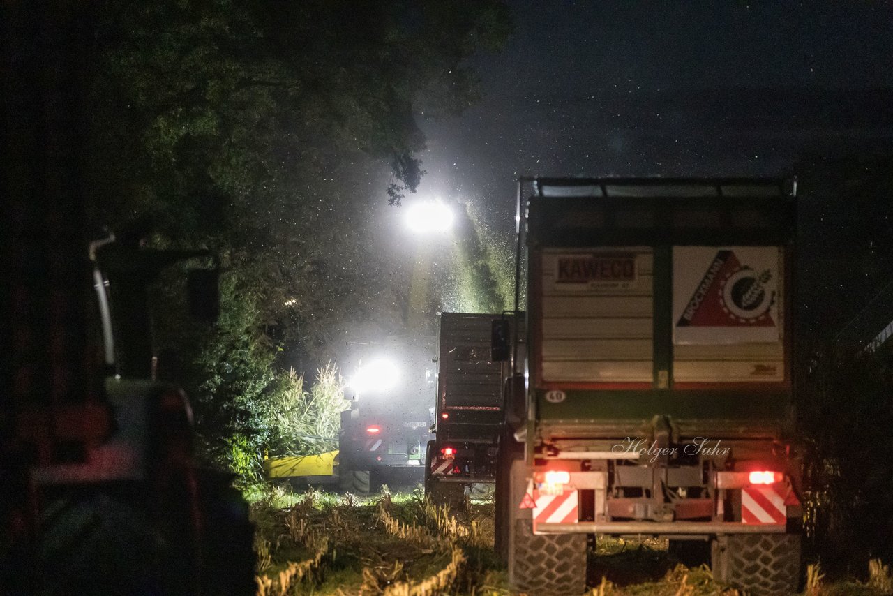 Bild 25 - Maisernte